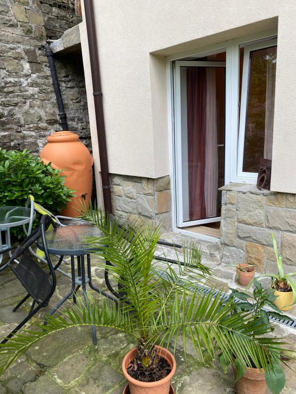 Zahrada ubytování Villa Kokosowa