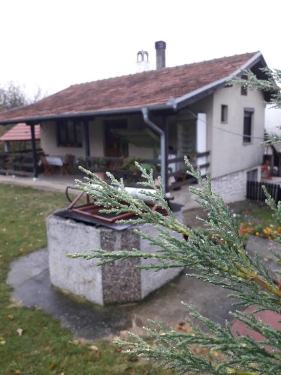 a house with a tree in front of it at Jovanovic in Topola