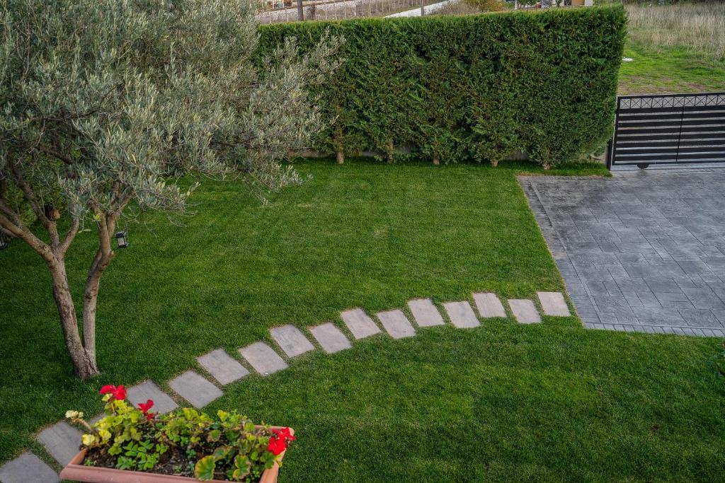 A garden outside Meteora vibes