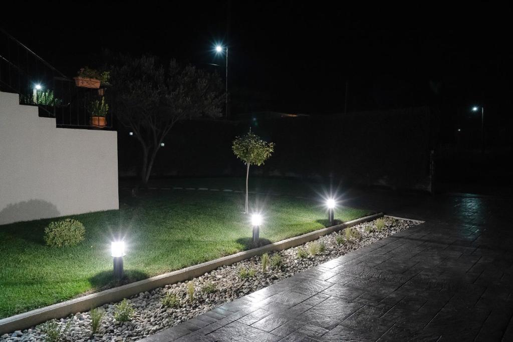 A garden outside Meteora vibes