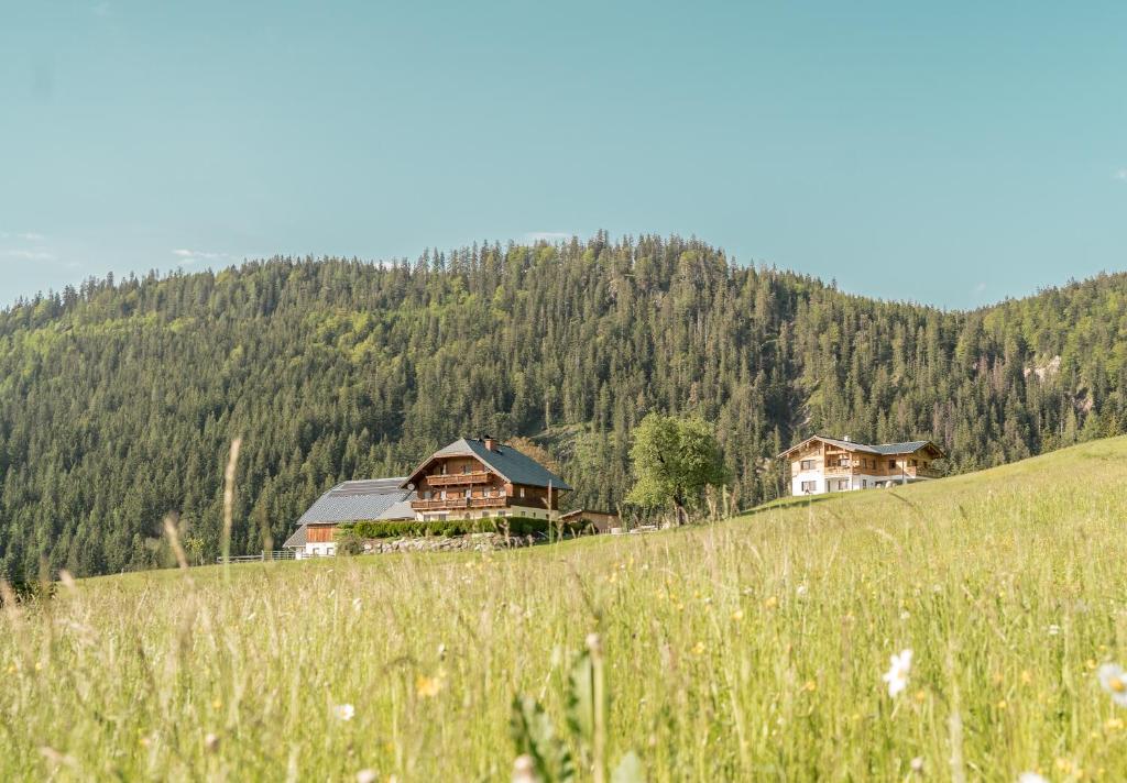 a group of houses on a hill in a field at Bio Bauernhof Oberhinterberg Appartement in Annaberg im Lammertal