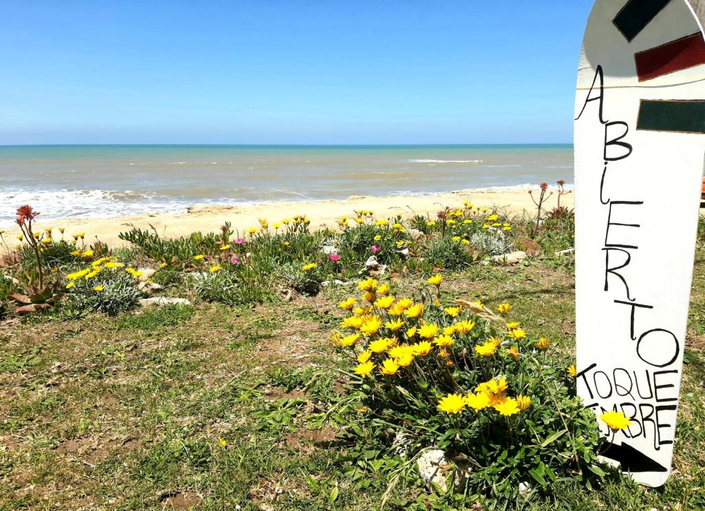 a field of flowers next to the beach at Masia del Viento in Mar del Sur