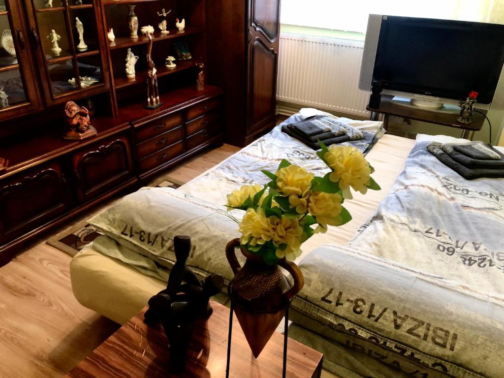 La SYMO apartament STRAJA Lupeni - Apartment