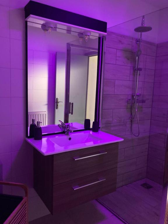 Koupelna v ubytování Le Loft
