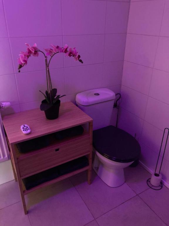Koupelna v ubytování Le Loft