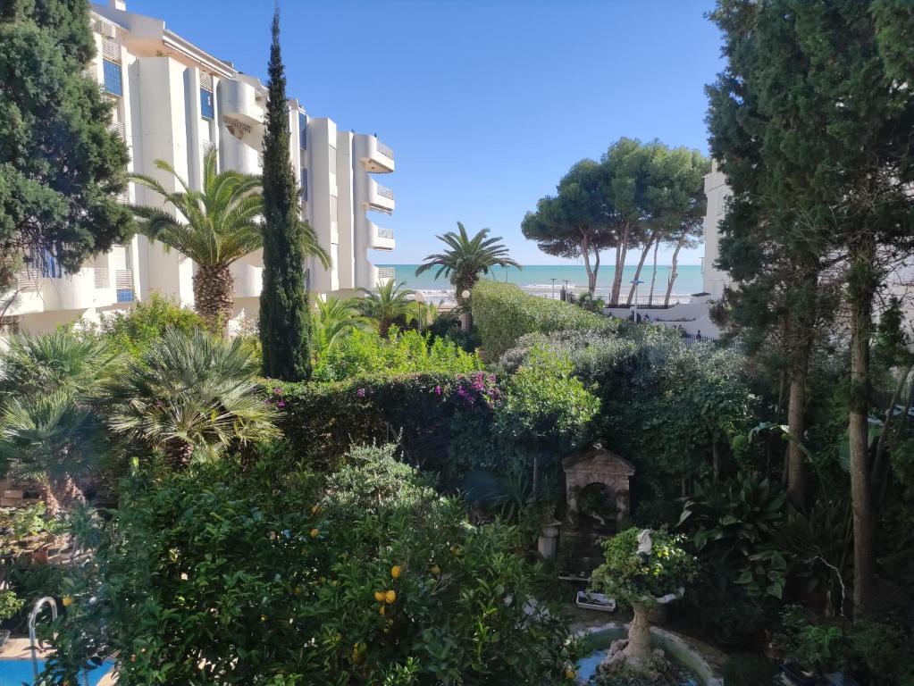 Zahrada ubytování PISO PLAYA ALCOSSEBRE