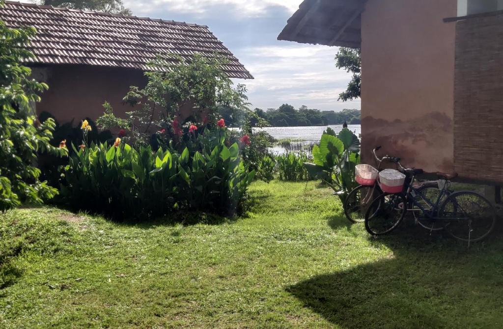 Zahrada ubytování Lake Cabin
