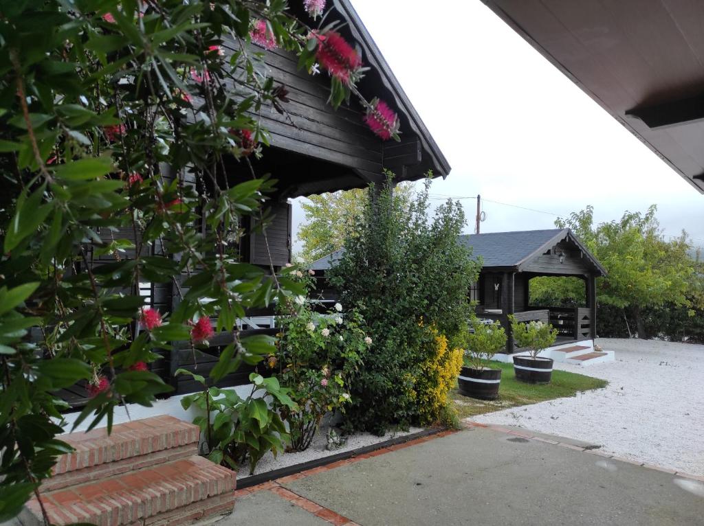 Casa Rural Las Bodegas - 7