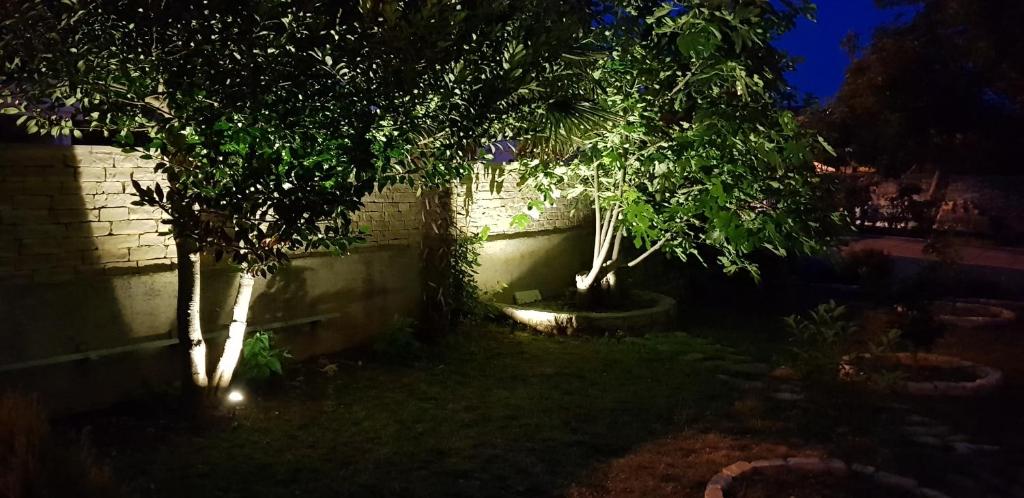Ogród w obiekcie Villa Tea T