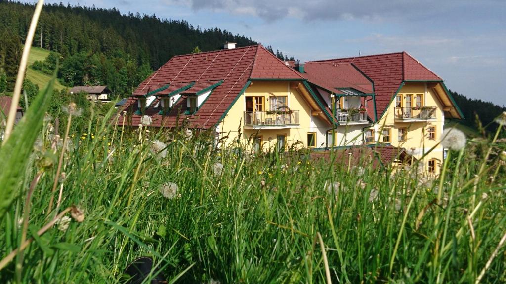 Příroda nedaleko penzionu – hostince