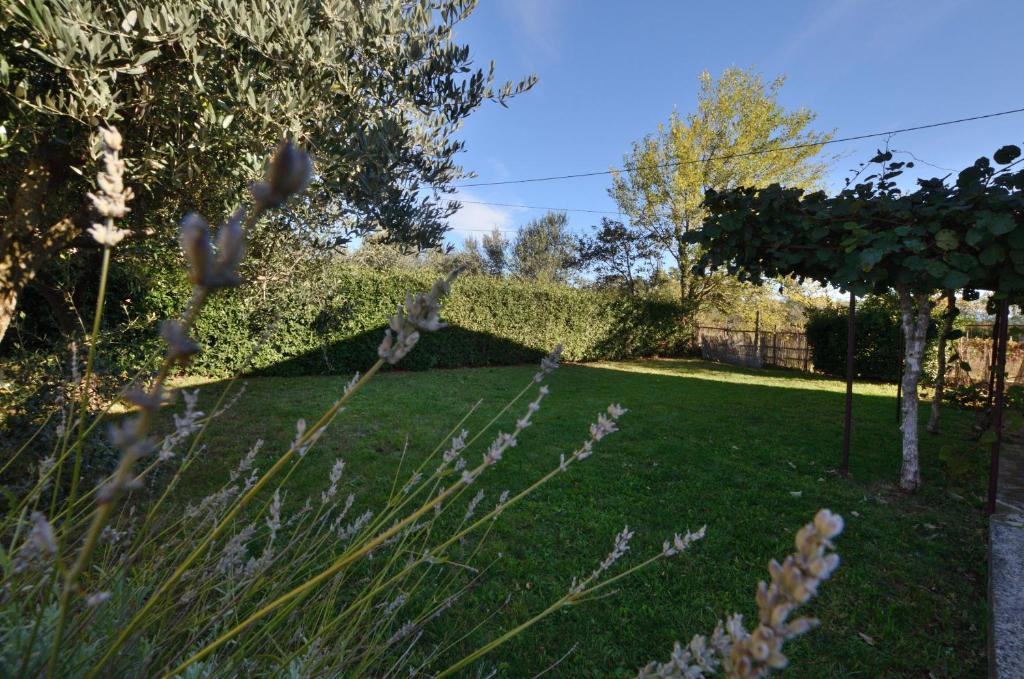Ogród w obiekcie Villa Mirka