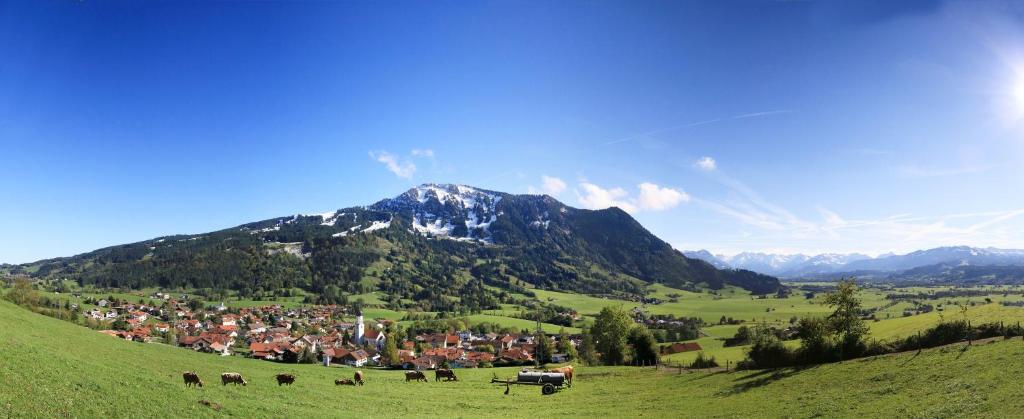 un grupo de vacas pastando en un campo con una montaña en Fewo Stork, en Rettenberg