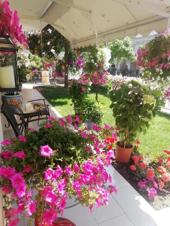 Christina Hotel - 12