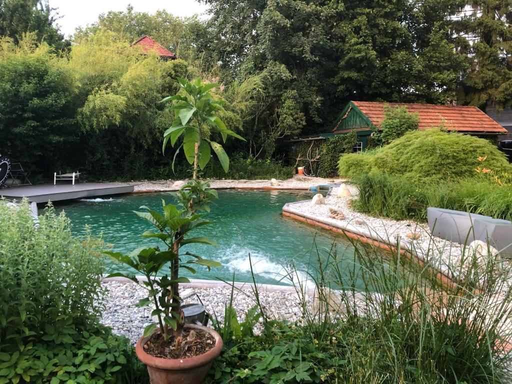 Bazén v ubytování Haus mit Sauna und privatem Badeteich in Anif bei Salzburg nebo v jeho okolí