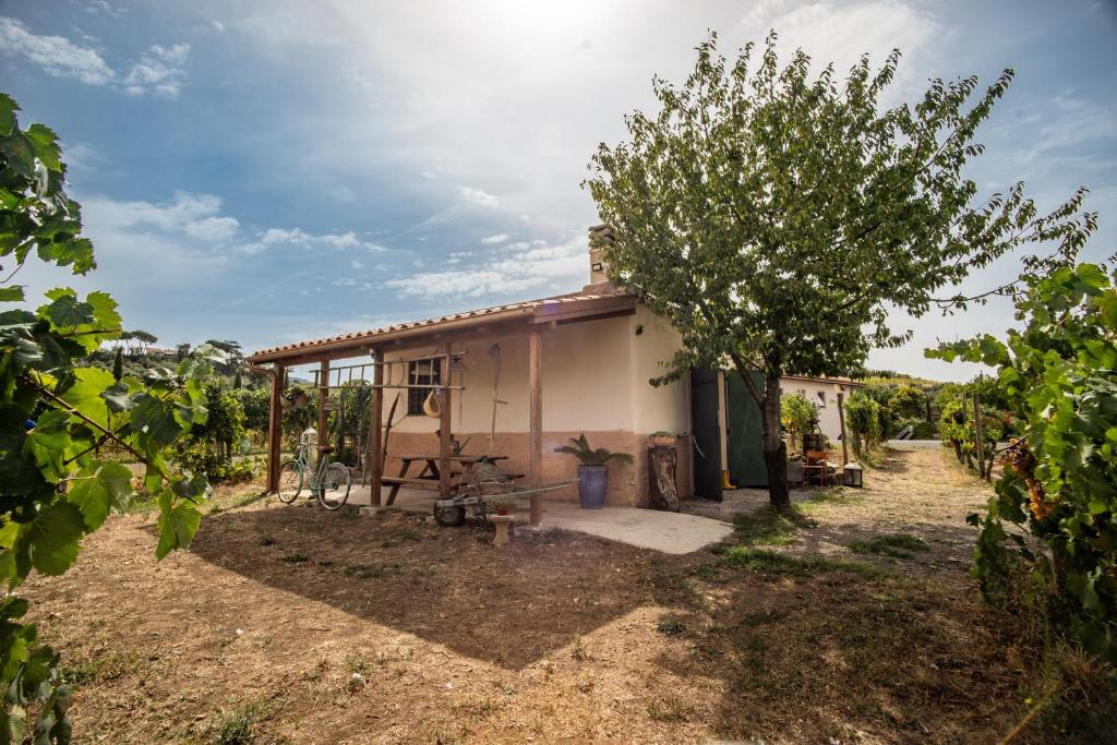 Un' Ottima Annata - La casa nel vigneto - One-Bedroom House