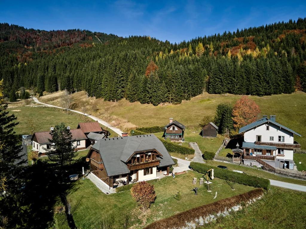 Príroda v okolí horskej chaty