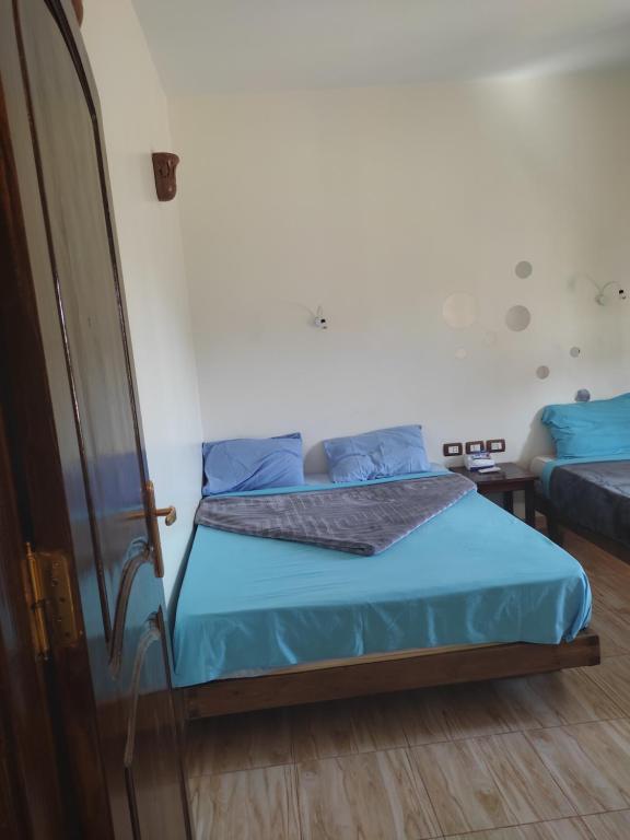 Letto o letti in una camera di Habibi Nubian Guest House-Nubian Hospitality