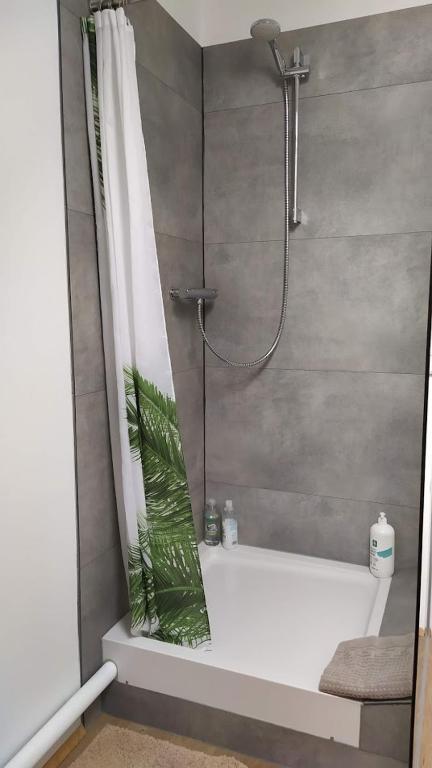 Koupelna v ubytování Guesthouse Hateigi 3