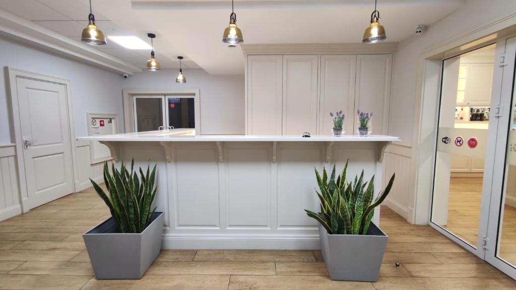 a kitchen with white cabinets and two potted plants at Gościnny Gaj in Gaj