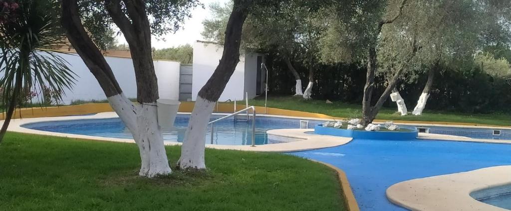 Sevilla BRISAS VIP Valencina de la concepción - Appartement D'une Chambre