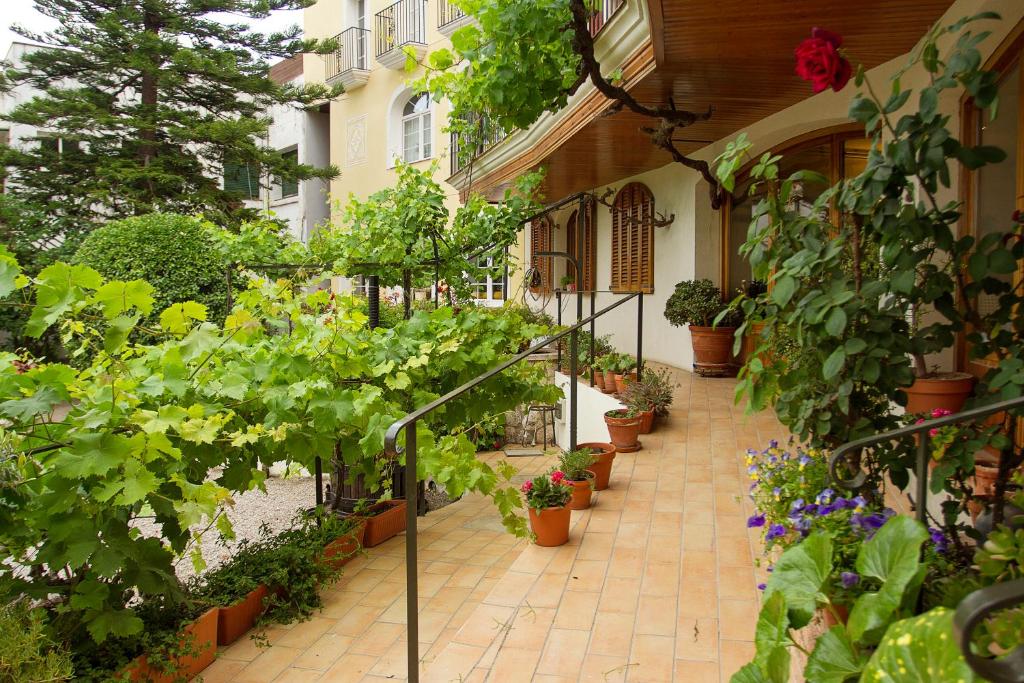 Zahrada ubytování Hotel Antiga