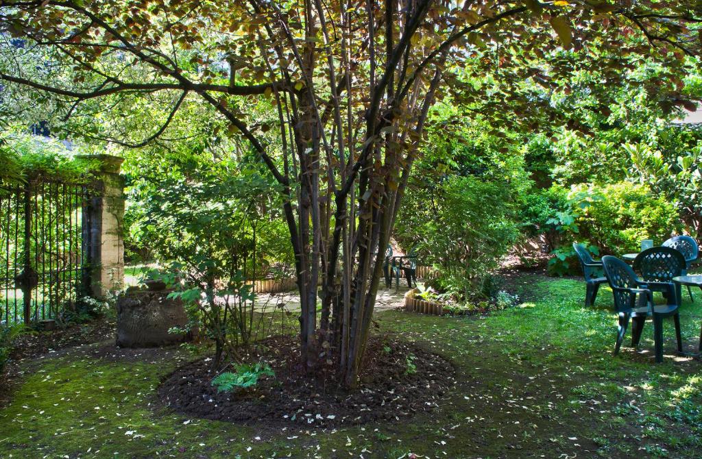 Abaca Messidor by Happyculture - Resim 32