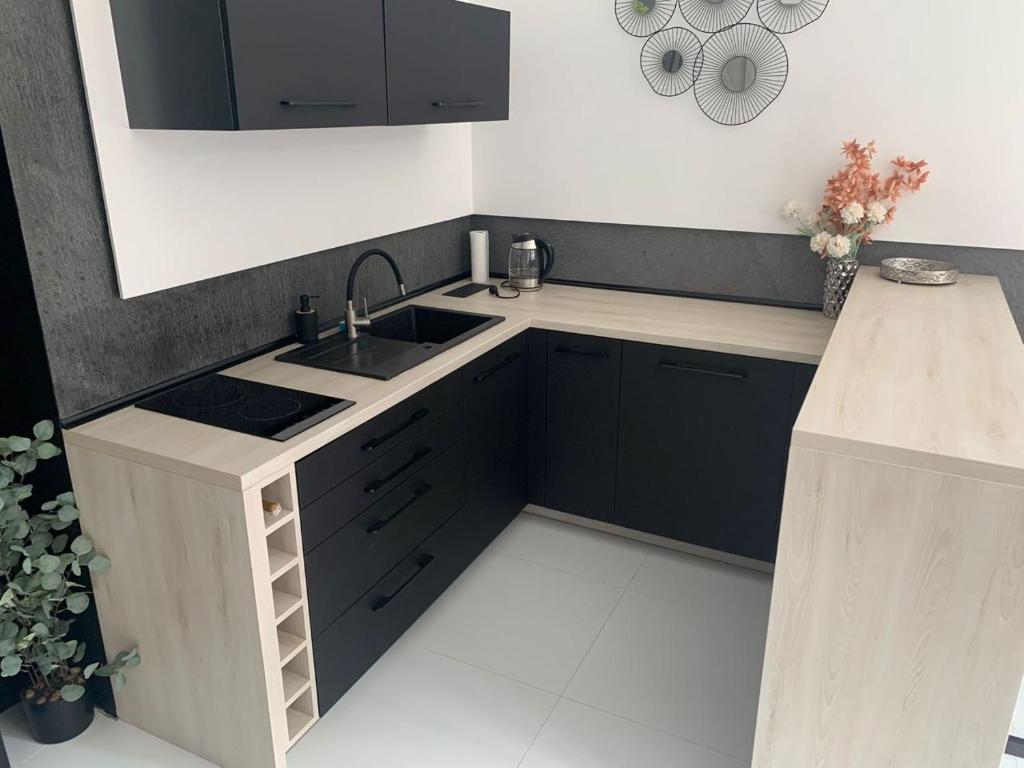 Kuchyň nebo kuchyňský kout v ubytování Apartamenty Planeta