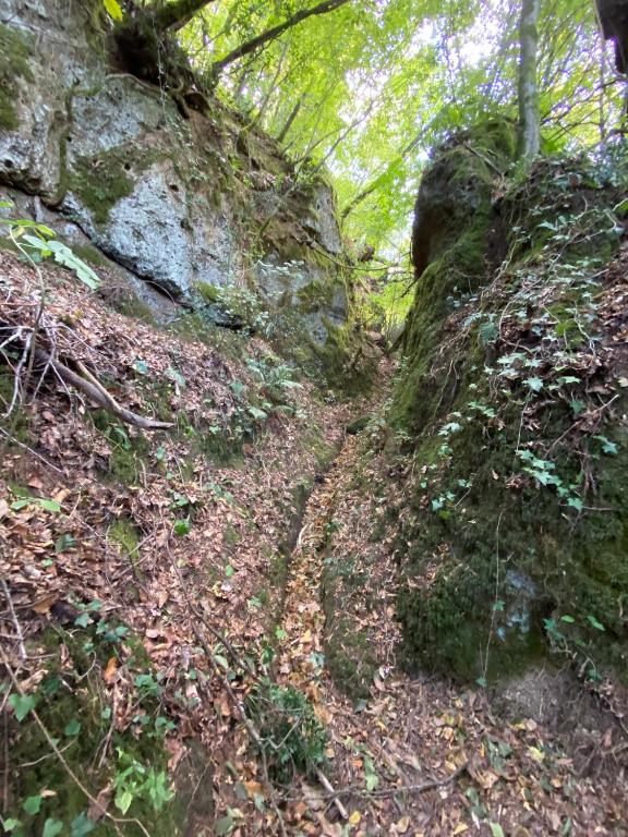 Paesaggio naturale nelle vicinanze dell'agriturismo