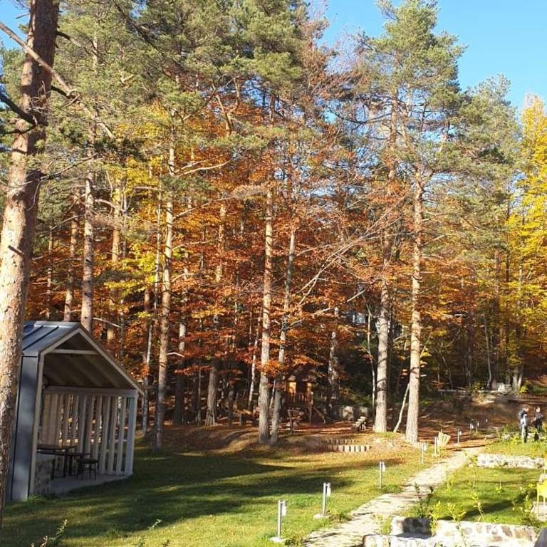 Zahrada ubytování Apartman Divcigora Sokic
