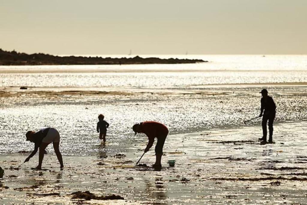 a group of people playing in the water on the beach at Spacieux appartement neuf de standing Hyper Cosy in Larmor-Plage