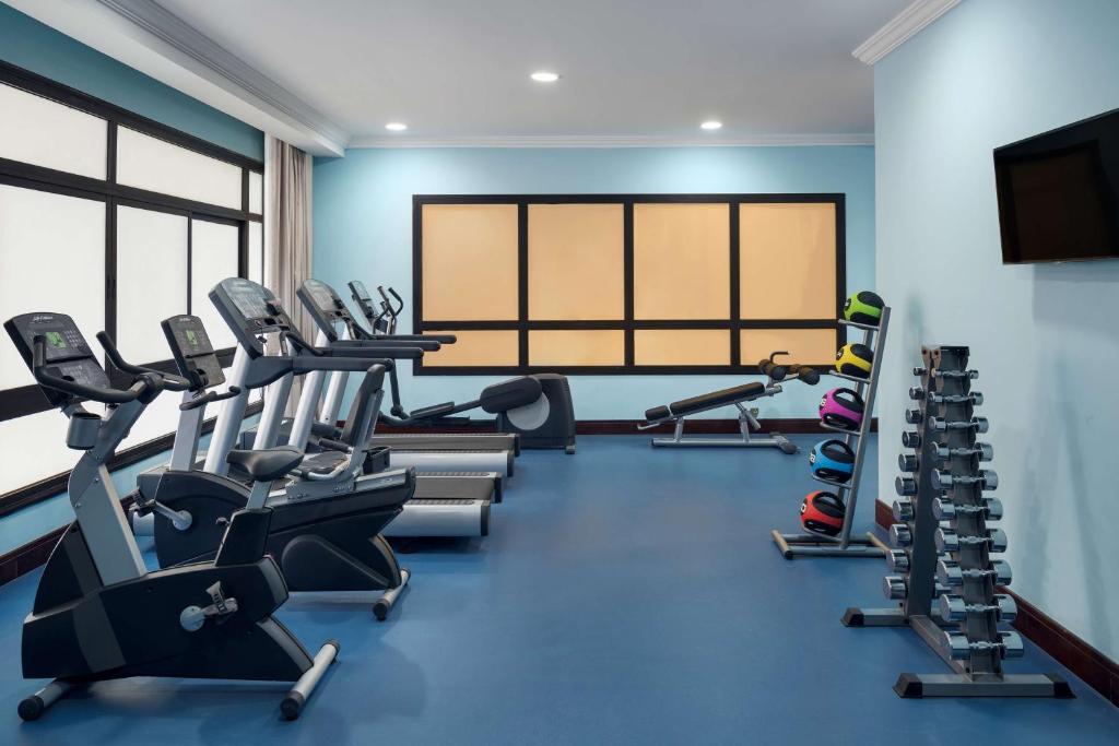Fitness centrum a/nebo fitness zařízení v ubytování Park Inn by Radisson Makkah Al Naseem