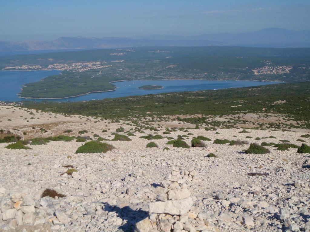 Příroda nedaleko apartmánu