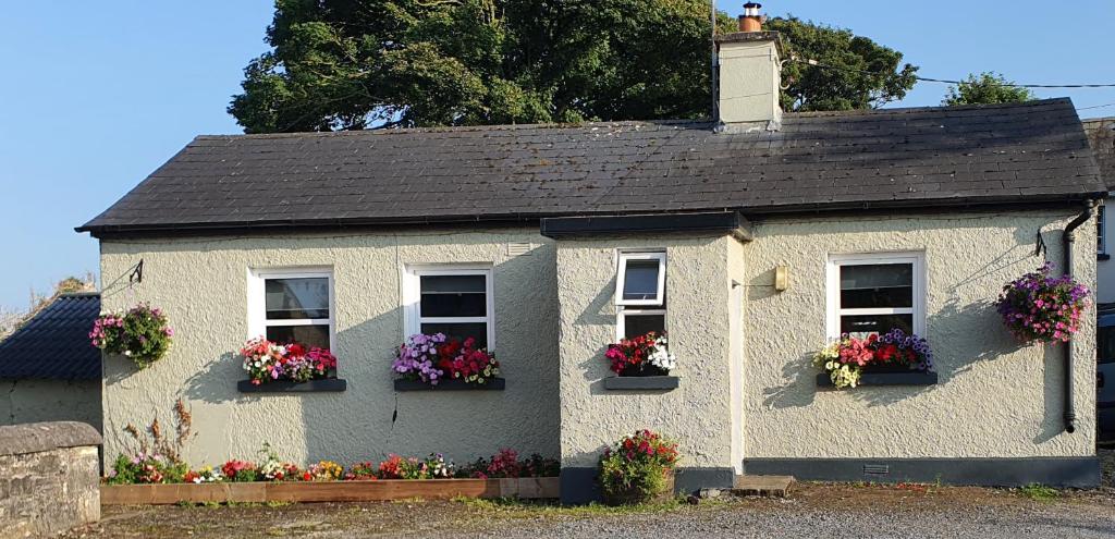 a white house with flower boxes on the windows at The Speak Easy Cottage Multyfarnham 0876682090 in Multyfarnham
