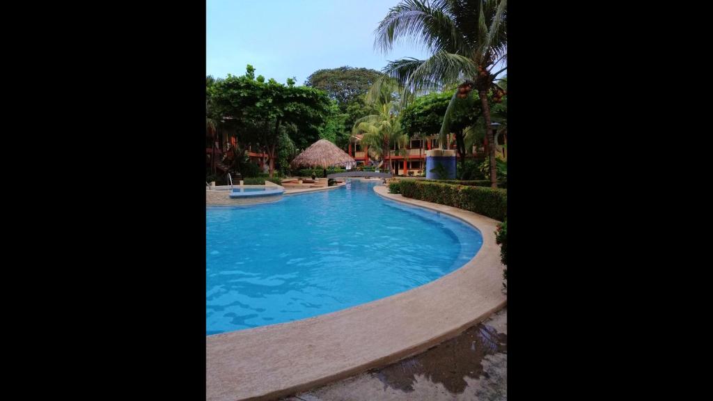 Room in Condo - Nice condo to vacation in Playas del Coco في كوكو: مسبح وسط منتجع