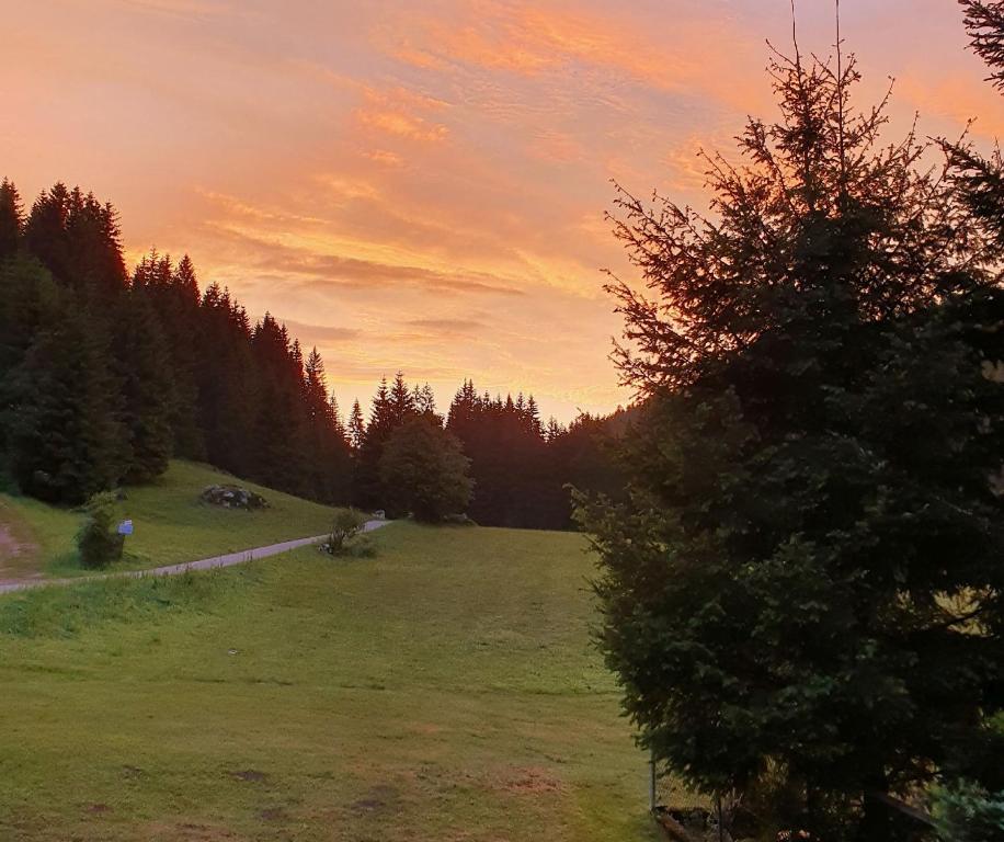 Příroda nedaleko penzionu