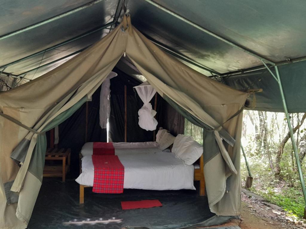 Postel nebo postele na pokoji v ubytování Leruk Maasai Mara Camp