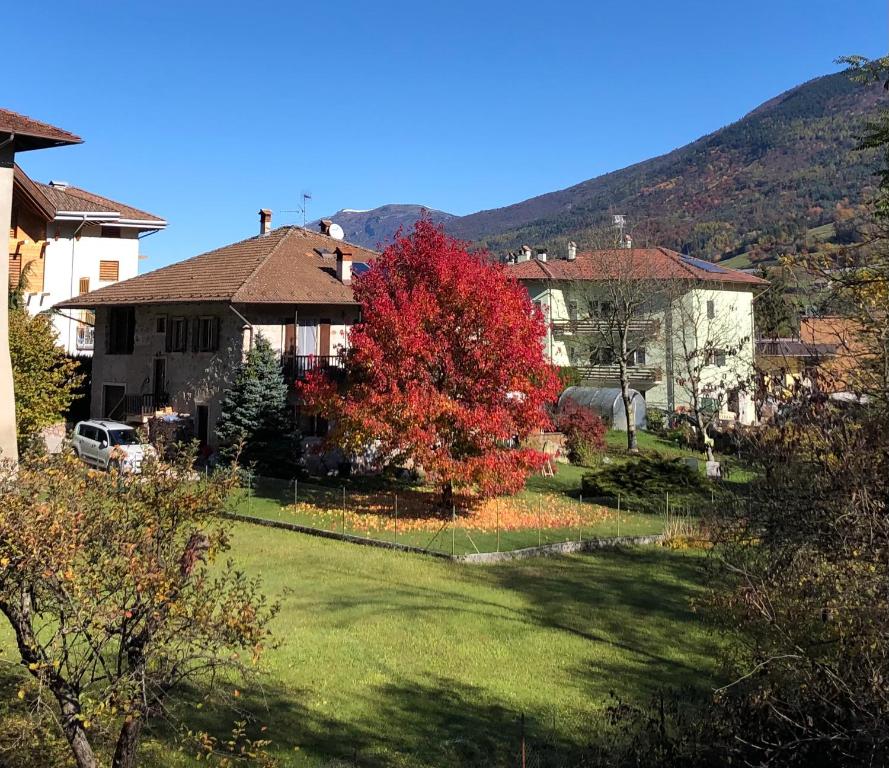 Appartamento Trentino II - Appartement Met 1 Slaapkamer