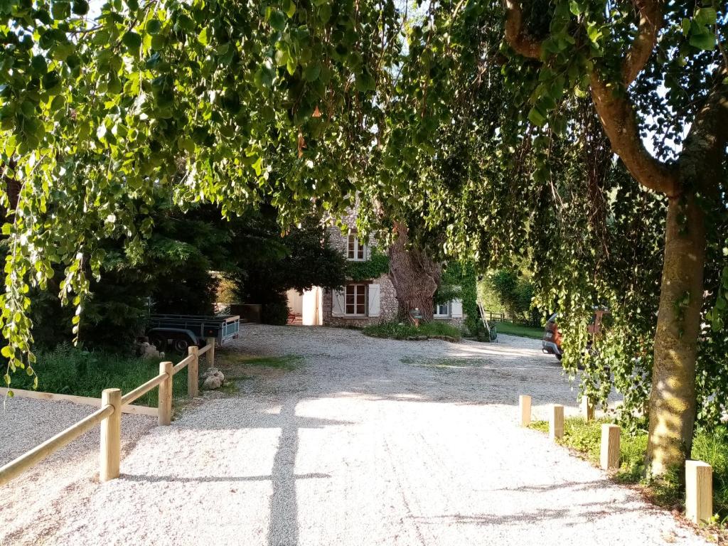 a tree lined driveway with a house in the background at Moulin de Giboudet Chambres d&#39;hôtes in Bazainville
