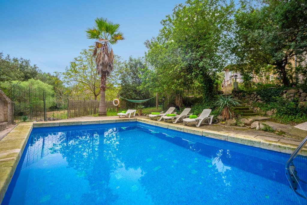 a swimming pool with two chairs and a palm tree at Can Pastera in Campanet