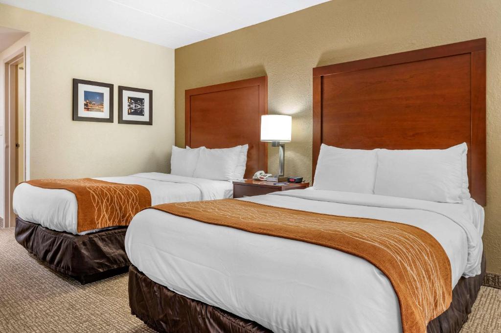 Comfort Inn Cincinnati Northeast - Chambre Double Avec 2 Lits Doubles - Non-Fumeurs