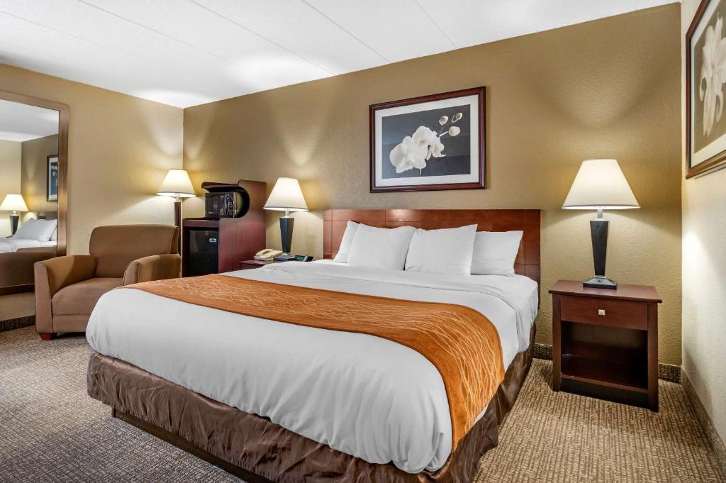 Comfort Inn Cincinnati Northeast - Camera King - Non Fumatori