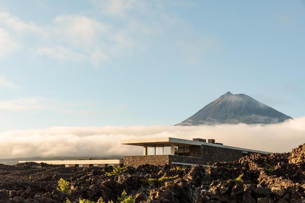 Azores Wine Company — photo 5