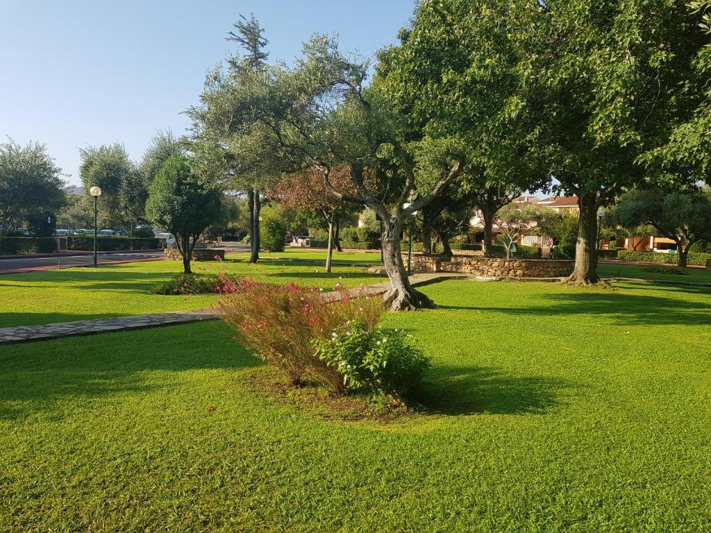 un parc planté d'arbres, d'herbe verte et de fleurs dans l'établissement Appartamento da Francesco Villaggio degli Ulivi San Teodoro, à San Teodoro