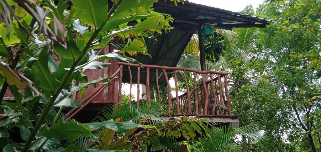 シギリヤにあるSigiri Panaromic Tree Houseのジャングル内の木の家