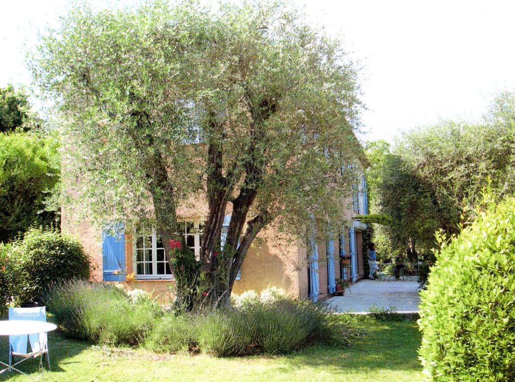 un gran árbol frente a un edificio en Chambre avec acces jardin et piscine. Weekend ou semaine., en Le Rouret