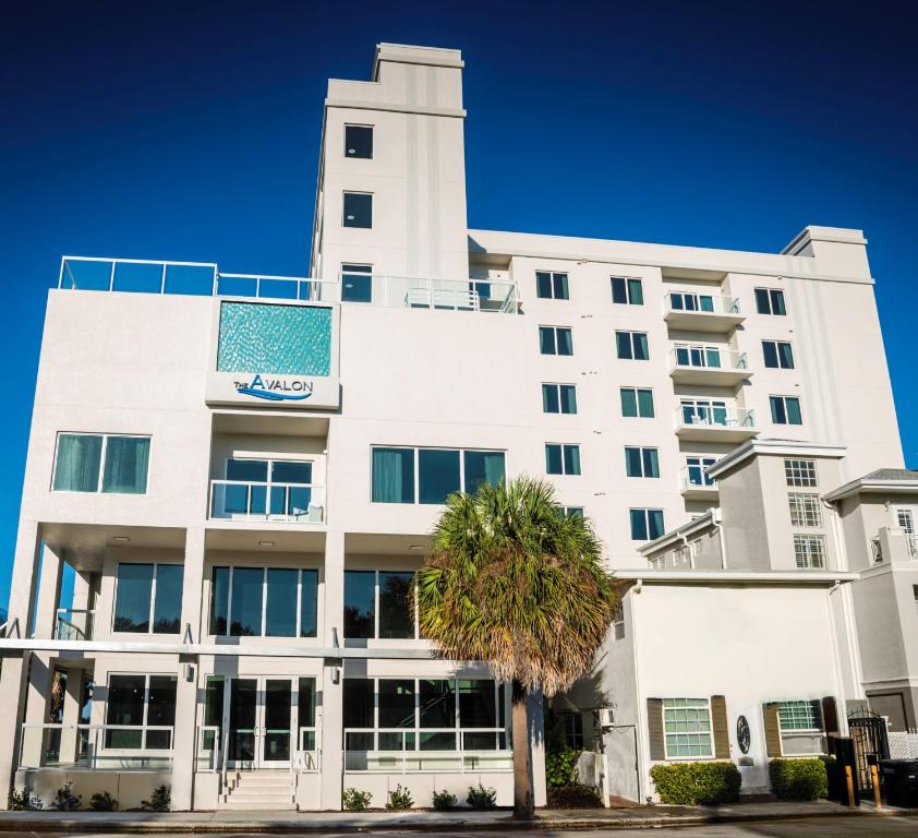 a white building with a palm tree in front of it at The Avalon Club in Clearwater Beach