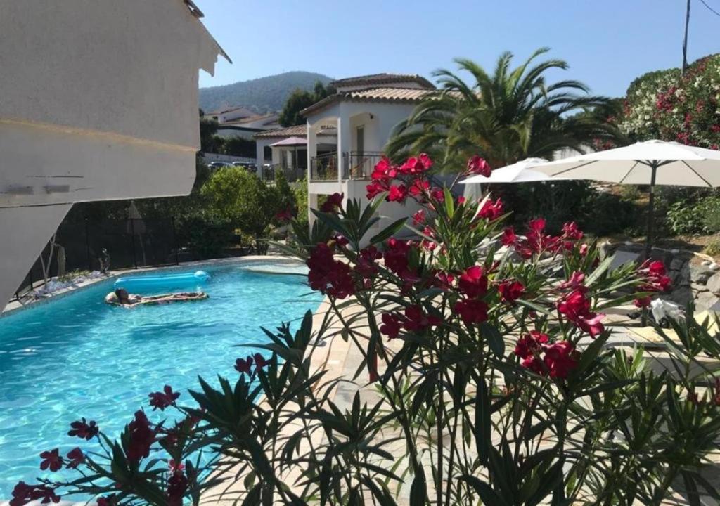 a swimming pool with a person laying in a pool at Maxima Sunset in Sainte-Maxime