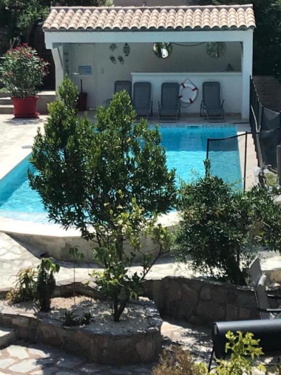 a swimming pool with two trees and two chairs at Maxima Sunset in Sainte-Maxime