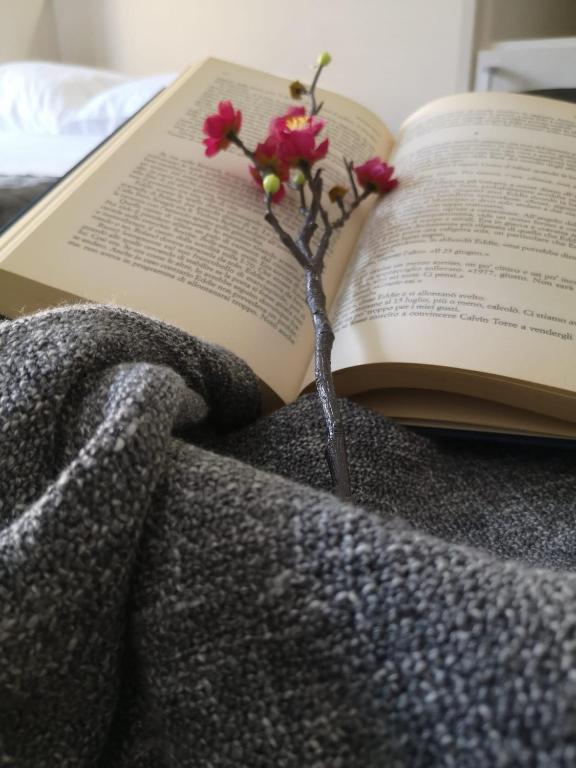 BGY Central Apartments - 5