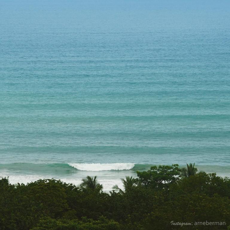 Funky Monkey Lodge - Appartement Avec Vue Sur Mer